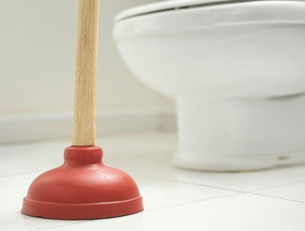 sink vs toilet plunger